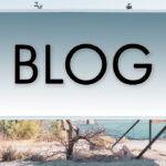 how to start a blog and make money