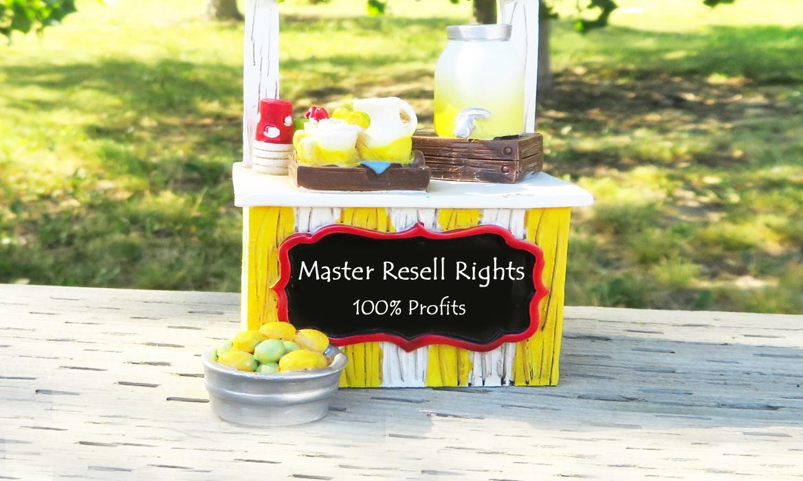 What is a Master Resell Rights Online Business and Why You Should Start One